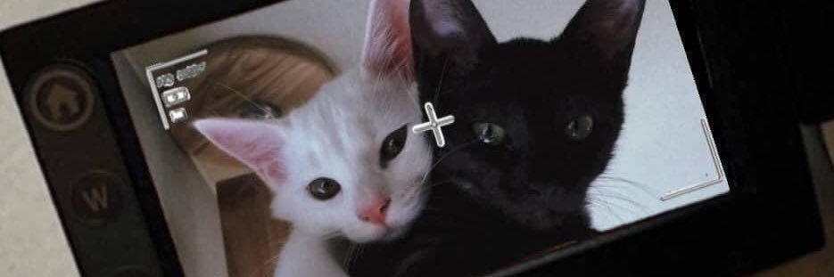 sphcncpcn's profile banner image