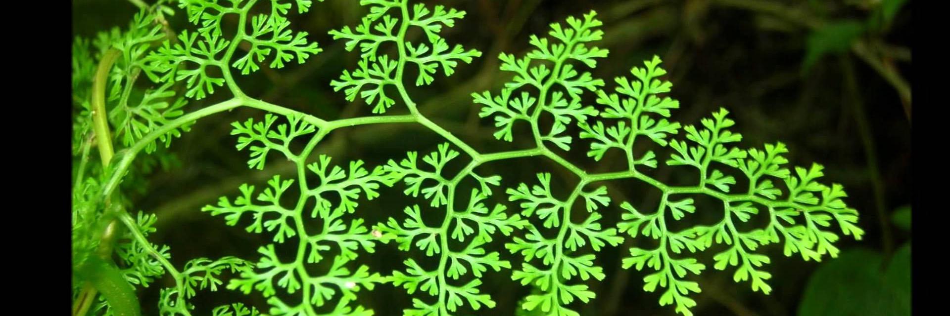 SamJRees's profile banner image