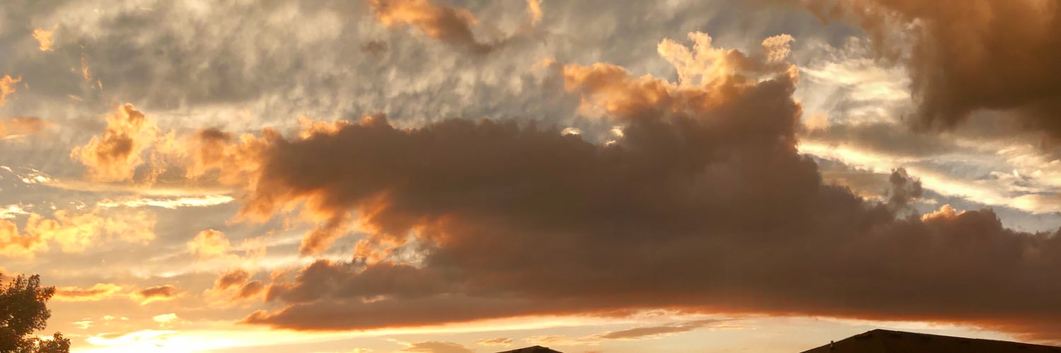 Just_Blaiseee's profile banner image