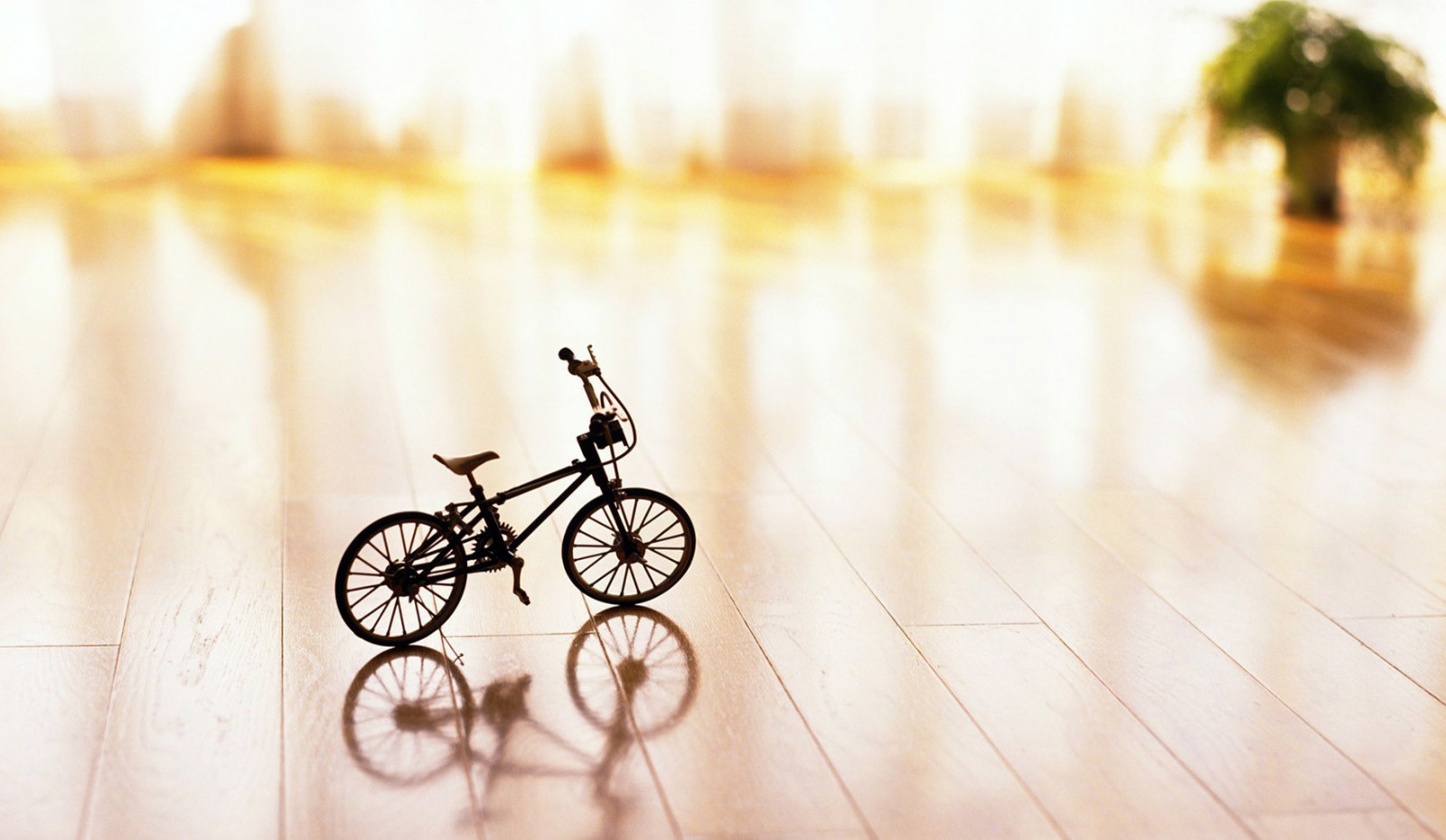 sha_sarang's profile banner image