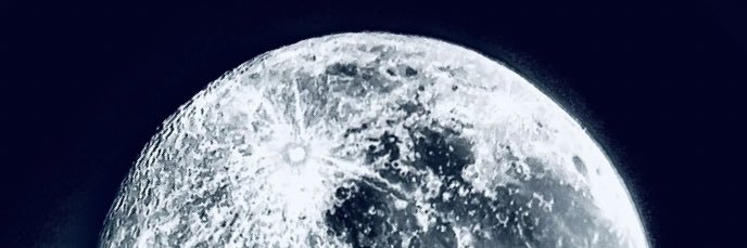 𝗗𝗲𝗻𝗶 𝗔𝘃𝗶𝗻𝗮𝘀𝗵 banner