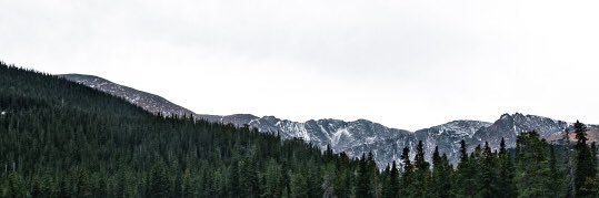 Virginie banner