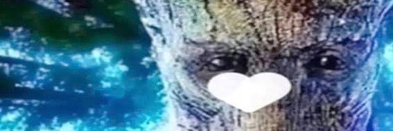 saladAlex's profile banner image