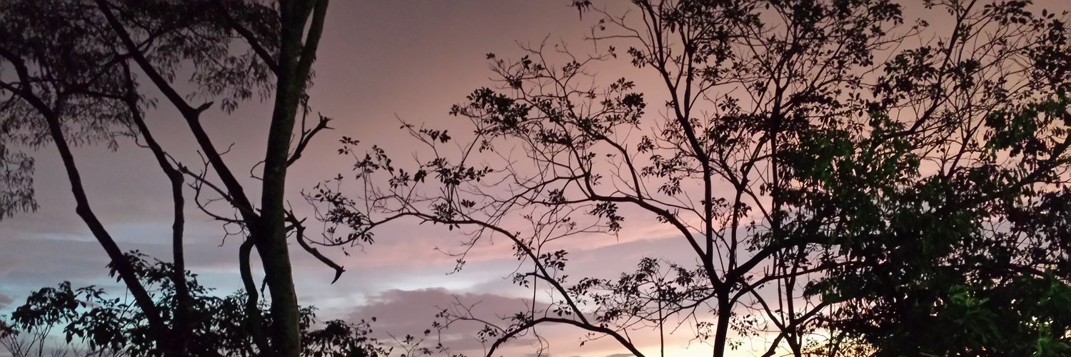 amontero0828's profile banner image