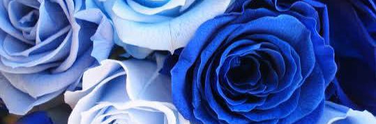 f____071604's profile banner image
