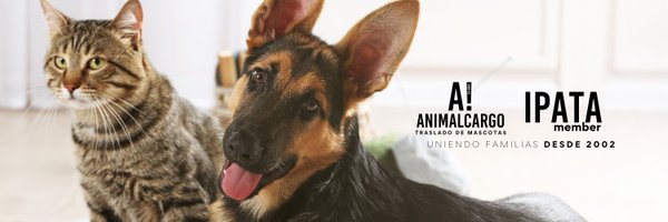 Animal Cargo Profile Banner