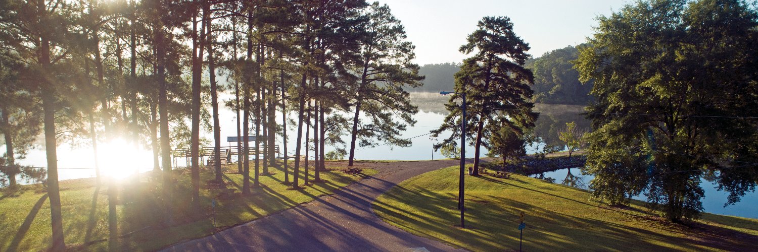 Everything Ozark banner