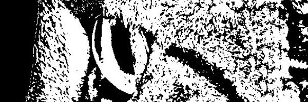 jembobineuse Profile Banner