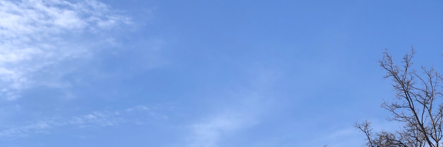 Bindaasgal banner