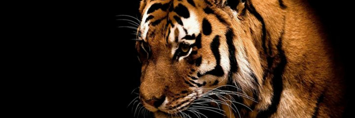 Kathirchill's profile banner image