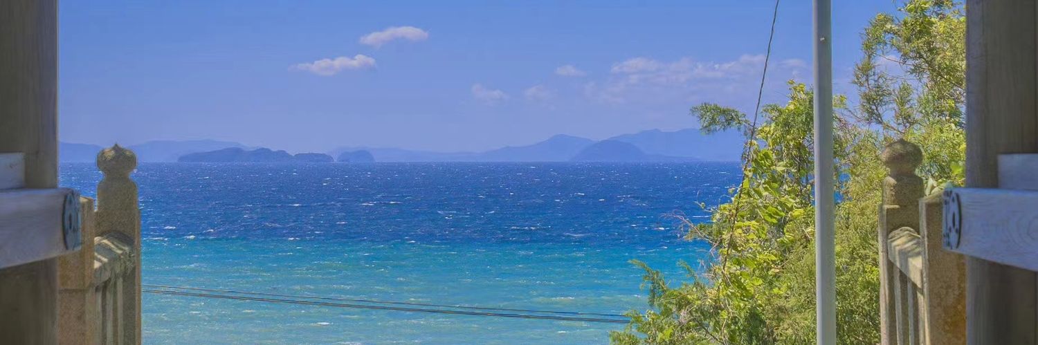 lin11030491's profile banner image