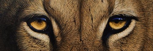 PiusMags's profile banner image