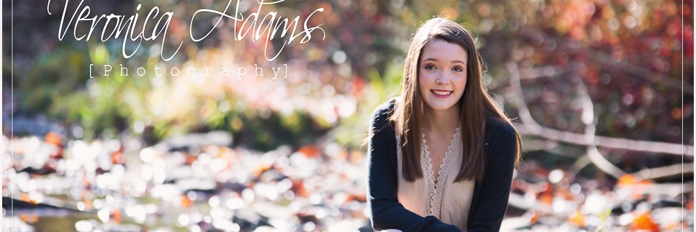 VA Photography banner