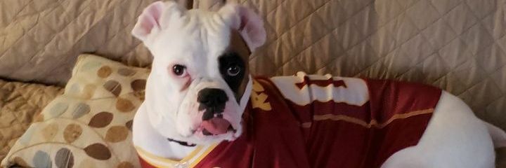 TSchrick21's profile banner image