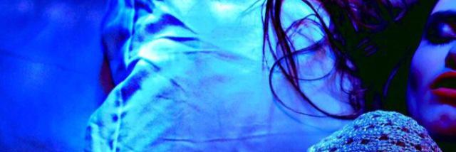 lauren terry banner