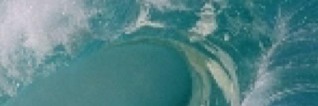 Mamarosa5's profile banner image