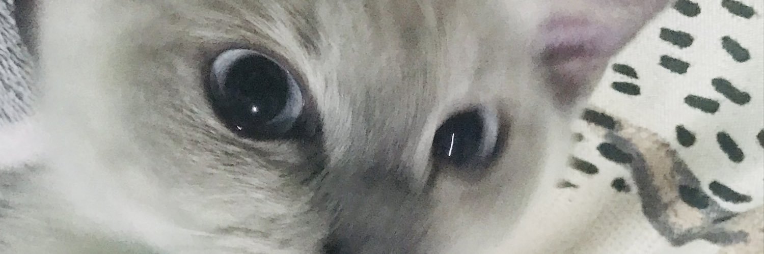 _drynnnys's profile banner image
