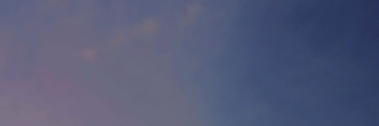 sindawr's profile banner image