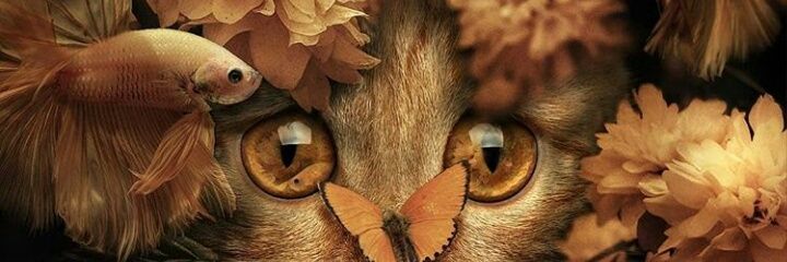 azizeorgenn's profile banner image