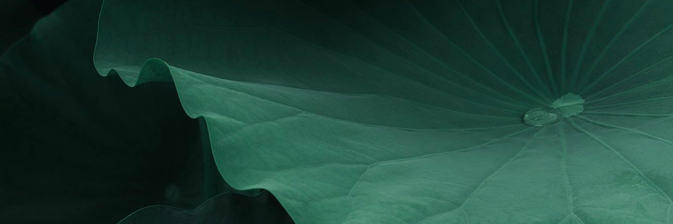 Imakosonaniyo's profile banner image