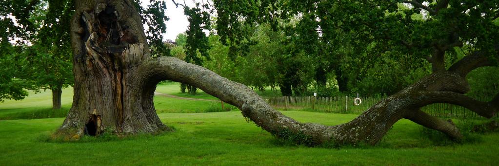 Radley Campus banner