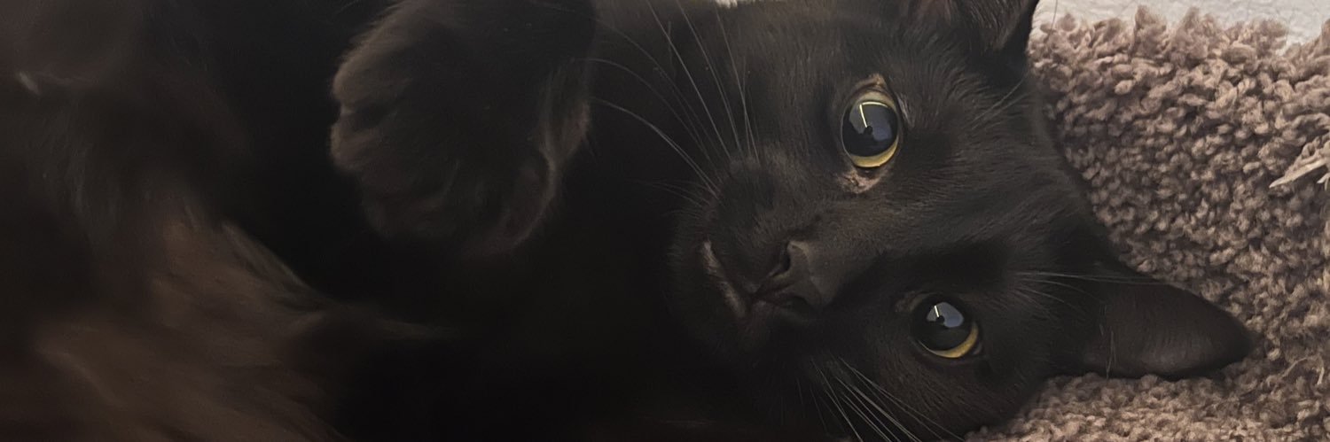 amylcordero's profile banner image