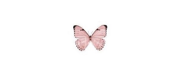 ljohnson_____ Profile Banner