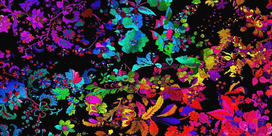 carlamicheller's profile banner image