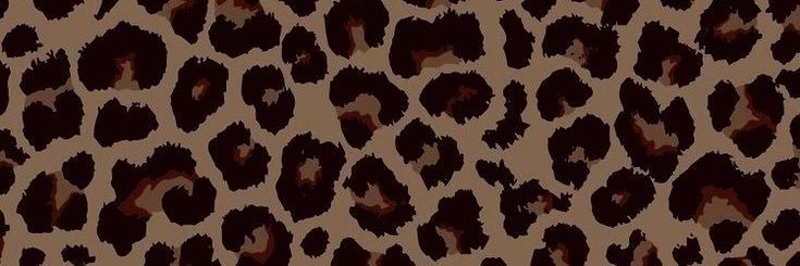 MTF_TAE's profile banner image