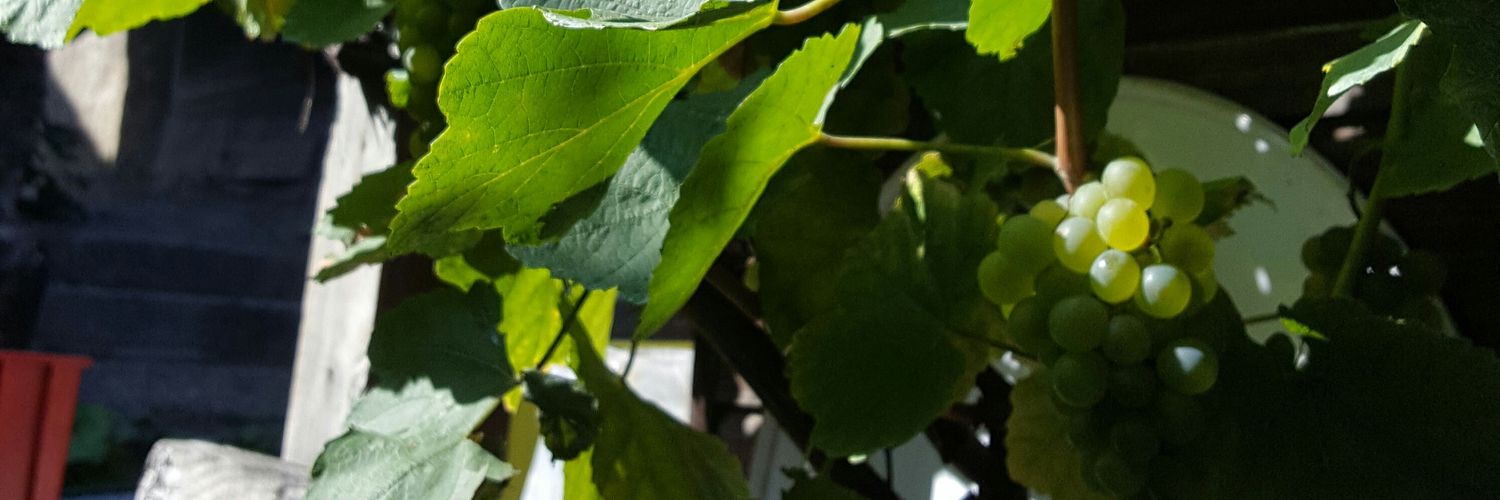 CatherineNicoud's profile banner image