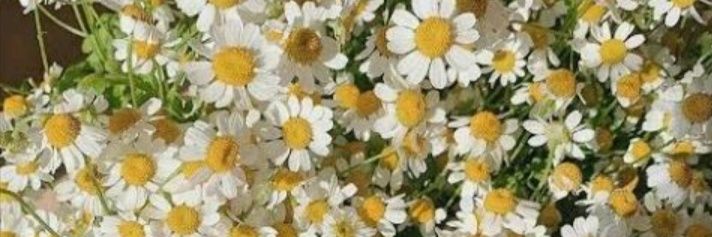 sim_anand38's profile banner image