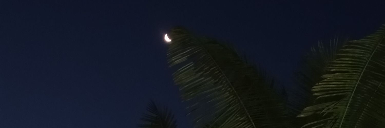 NelysGoncalves's profile banner image