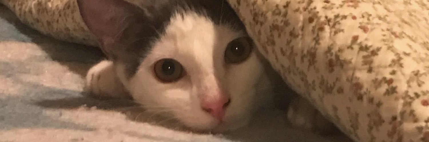 f_abcar's profile banner image