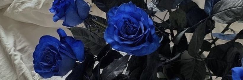 hush_514's profile banner image