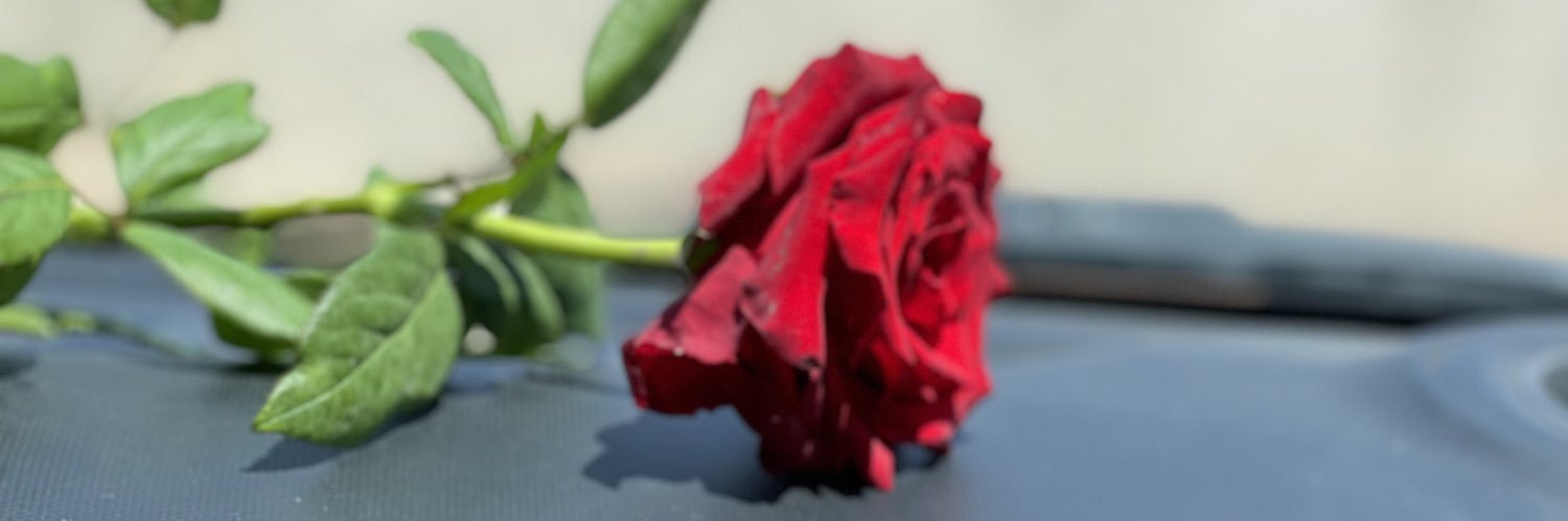 let_them1's profile banner image