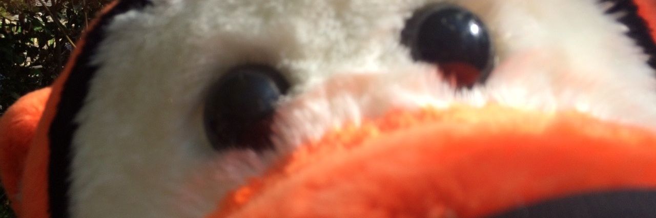 txji02's profile banner image