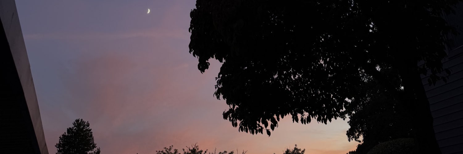 BaileyWilton's profile banner image