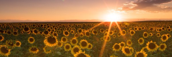 ceceeem Profile Banner