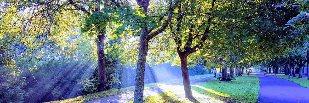 Gil Greengross banner