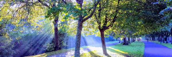 Giligg Profile Banner