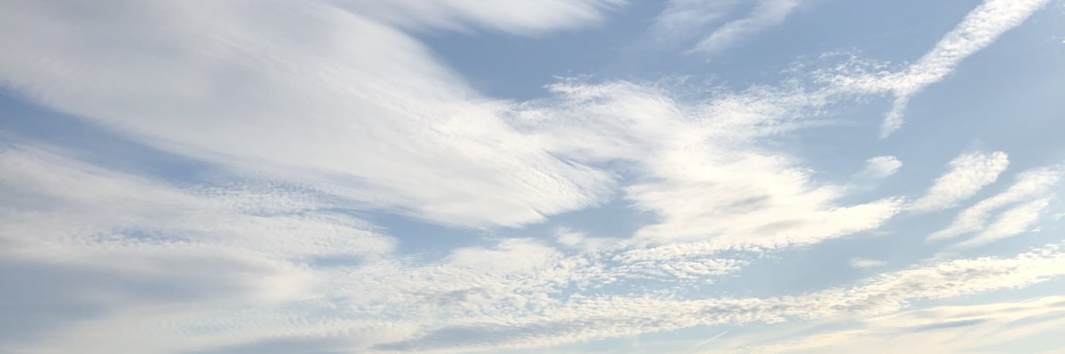 beee1210's profile banner image