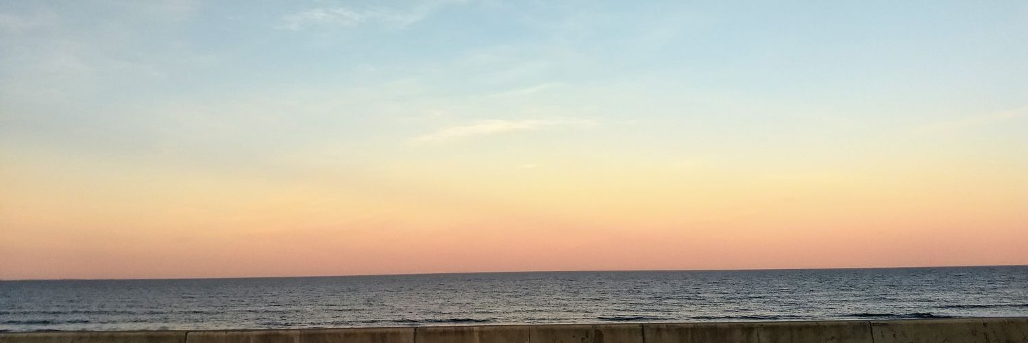 lillyoo79's profile banner image