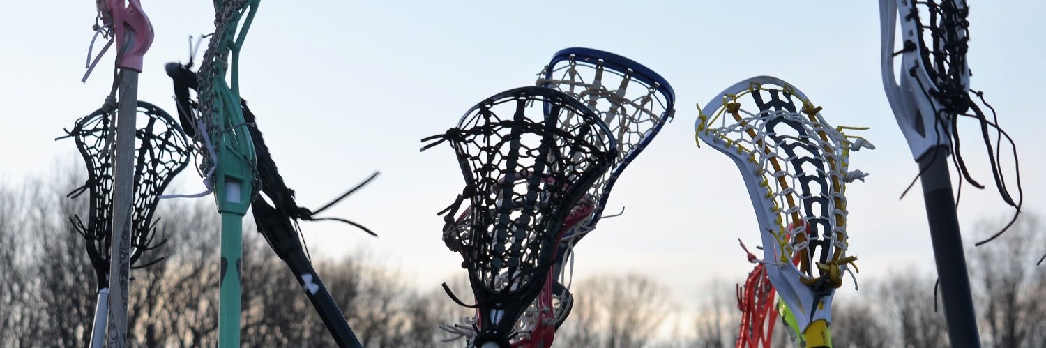 SLHS Girls Lacrosse banner