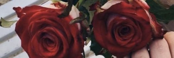 sola_tf's profile banner image