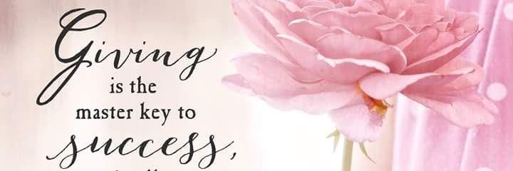 starvenus55's profile banner image