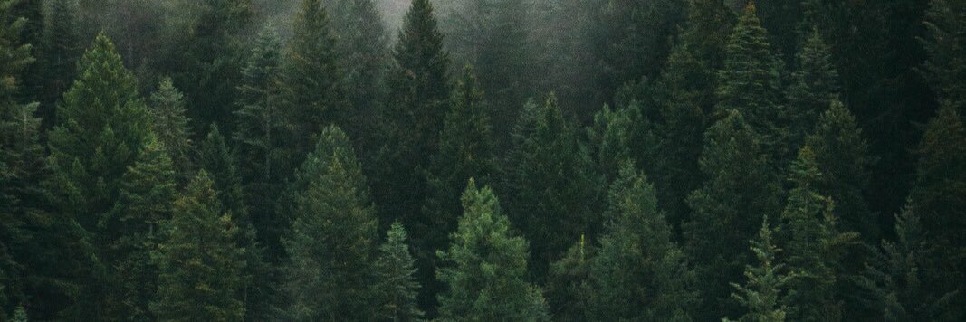 HilaryRowe's profile banner image