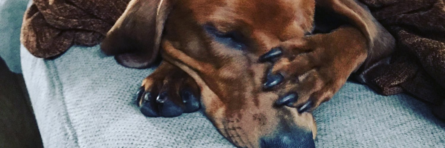 WhitneyJones4's profile banner image