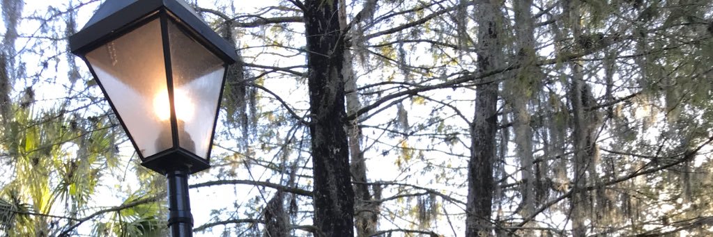 NutFreePlayroom's profile banner image