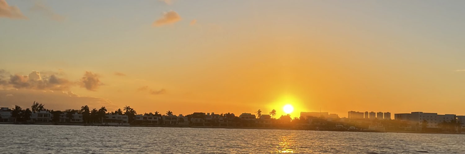 MickeyMulaa's profile banner image