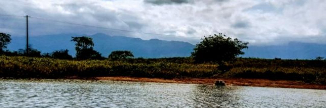 SalmaRubie's profile banner image